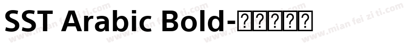 SST Arabic Bold字体转换